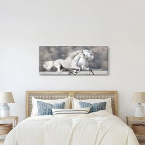 Kép - Fehér lovak télen (120x50 cm)