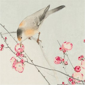 Fotótapéta Flizelin Hálószoba és Nappali Tapéta Virágos madár 250x250