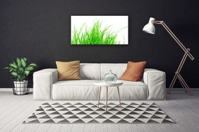 Vászonfotó fű növény 140x70 cm