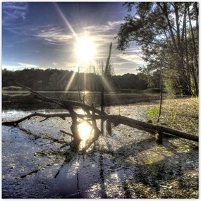 Poszterek 70x70 Naplemente a tóparton