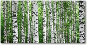 Üvegpanel konyhába Nyírfa 140x70 cm Ragasztó