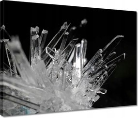 Festmények 40x30 Makrofotó MacroFoto