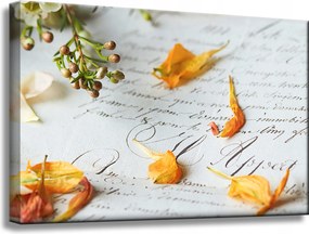 Botanika Virágszirmok vászonkép 60x40 cm