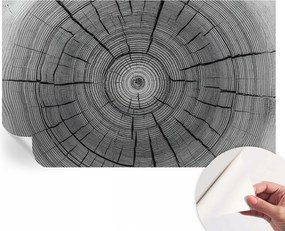 Fotótapéta Fali tapéta Hálószobába és Nappaliba Erdei harmónia 416x254 cm