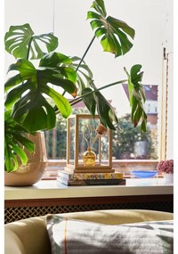 Kerámia kaspó szett 2 db-os ø 31 cm Vibe – Hübsch