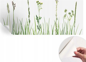 Fotótapéta Fali tapéta Hálószobába és Nappaliba Finom növényvilág 250x104 cm