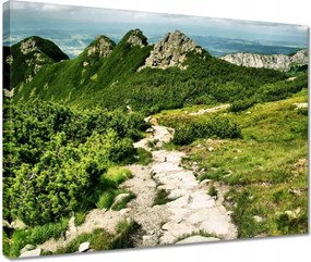 Vászonkép 40x30 Tátra Lengyel hegyek Kilátás