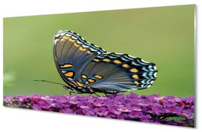 Akrilkép Színes pillangó virágok 100x50 cm