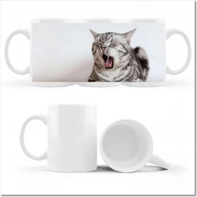 Cica fényképes bögre Cica