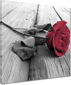 Vászonkép 50x50 Rózsa a mólón