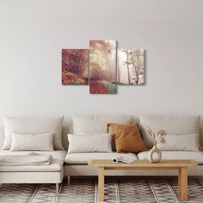 Kép - Őszi séta az erdőben (90x60 cm)