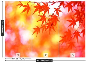Fotótapéta narancssárga levelek 104x70 cm