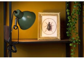 Lucide 45987/01/33 - Csipeszes lámpa MOYS 1xE27/40W/230V zöld