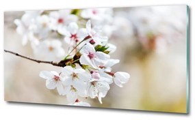 Egyedi üvegkép Cseresznye virágok osh-100965392