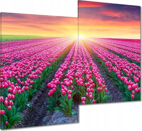 Vászonkép 80x70 Tulipánok tengere Virágok