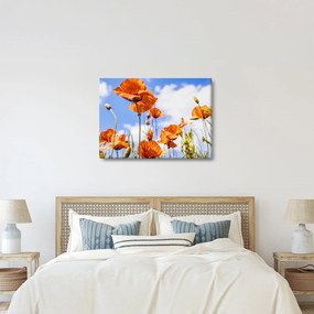 Pipacsok képe (70x50 cm)