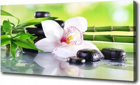 Canvas falikép Orchidea 120x60 cm