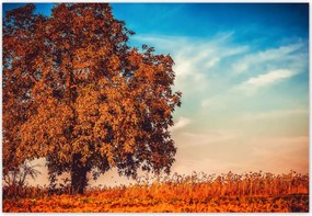 Fotótapéták 152x104 Jessiene színek Tájkép