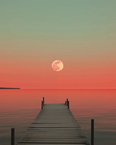 Poszter 40x50cm Hold a víz felett