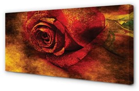 Canvas képek rózsa kép 125x50 cm