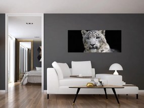 Kép - Snow Leopard (120x50 cm)