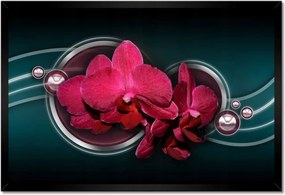 Poszter keretben 60x40 Lila orchidea