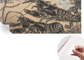 Fotótapéta Dekoratív Fali Tapéta Fotók Vízi Rákok 250x104