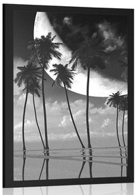 Poszter naplemente pálmafák felett fekete fehérben