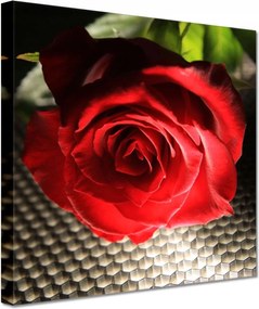 Festmények 20x20 Érdekes ötlet