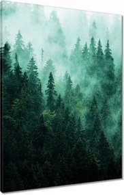 Vászonkép 60x80 Erdő Köd Tájkép Utazás