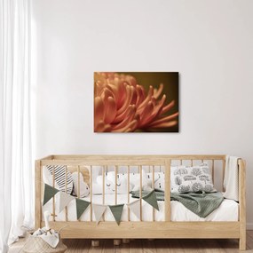 A virág részletének képe (70x50 cm)