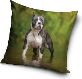 Kutyás Amstaff párnahuzat 40x40 cm
