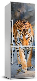 Hűtő matrica Tigris FridgeStick-70x190-f-122340685