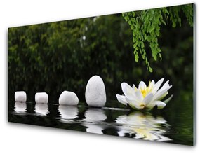 Akril üveg kép Lotus Flower Tavirózsa 125x50 cm