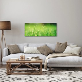 Kép - harmatos fű (120x50 cm)