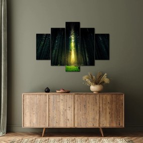 Sötét erdő képe (150x105 cm)