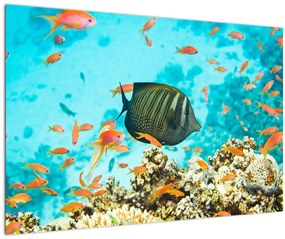 A víz alatti világ képe (90x60 cm)