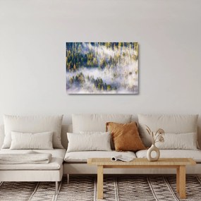 Fák képe a ködben (üvegen) (70x50 cm)