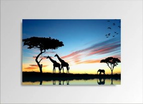 Digital Art vászonkép | 1229-S African Sunset ONE