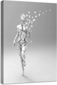 Vászonkép 50x70 Töredezettség szétesés átalakulás nő fehér szürke művészet