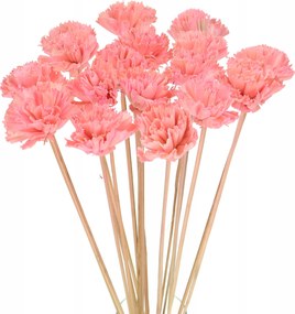 Virág Shola Szegfű rózsaszín a csúcson szárított virágok szárított egzotikus