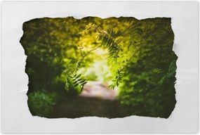 Poszterek 90x60 Zöld levelek Levelek