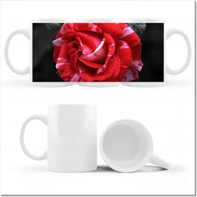 Fényképes bögre Fehér-piros rózsa