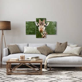 Egy zsiráf képe (90x60 cm)