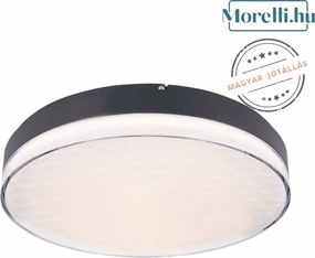 Mennyezeti Lámpa Fekete SEKKO MAXLIGHT C0218