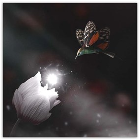 Gario Vászonkép Kolibri és mágikus virág - Zehem Chong Méret: 40 x 40 cm