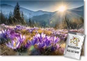 Fotótapéta Flizelina Hegyek Lengyel Tátra Elásott Krókuszok 250x175 ragasztó