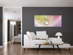 Kép - Harmatcseppek (120x50 cm)