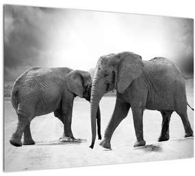 Elefántok képe (üvegen) (70x50 cm)