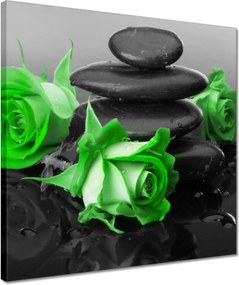 Vászonkép 40x40 Zöld rózsavirágok